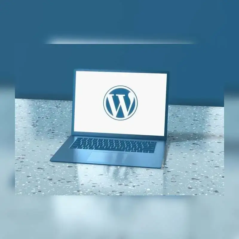 WordPress vs. Web Apps