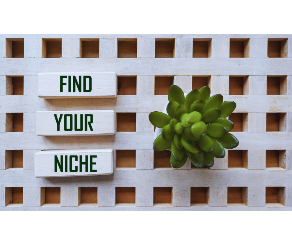 Image for blog titled How to Identify High-Traffic Niches for Your Blog?